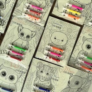 Card with Coloring Pages and Mini Crayons