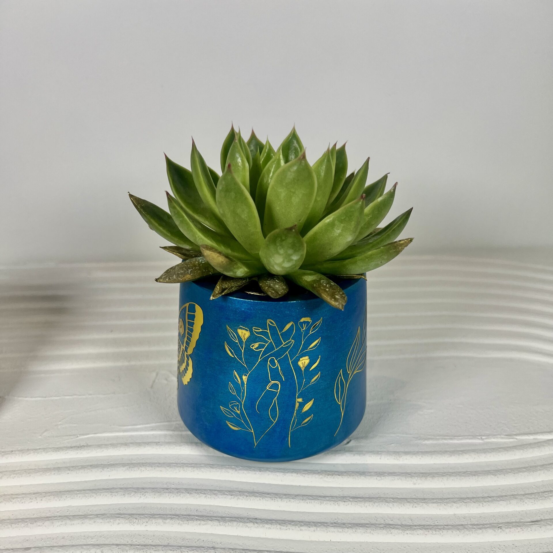 Vaso multifunzione - immagine 2