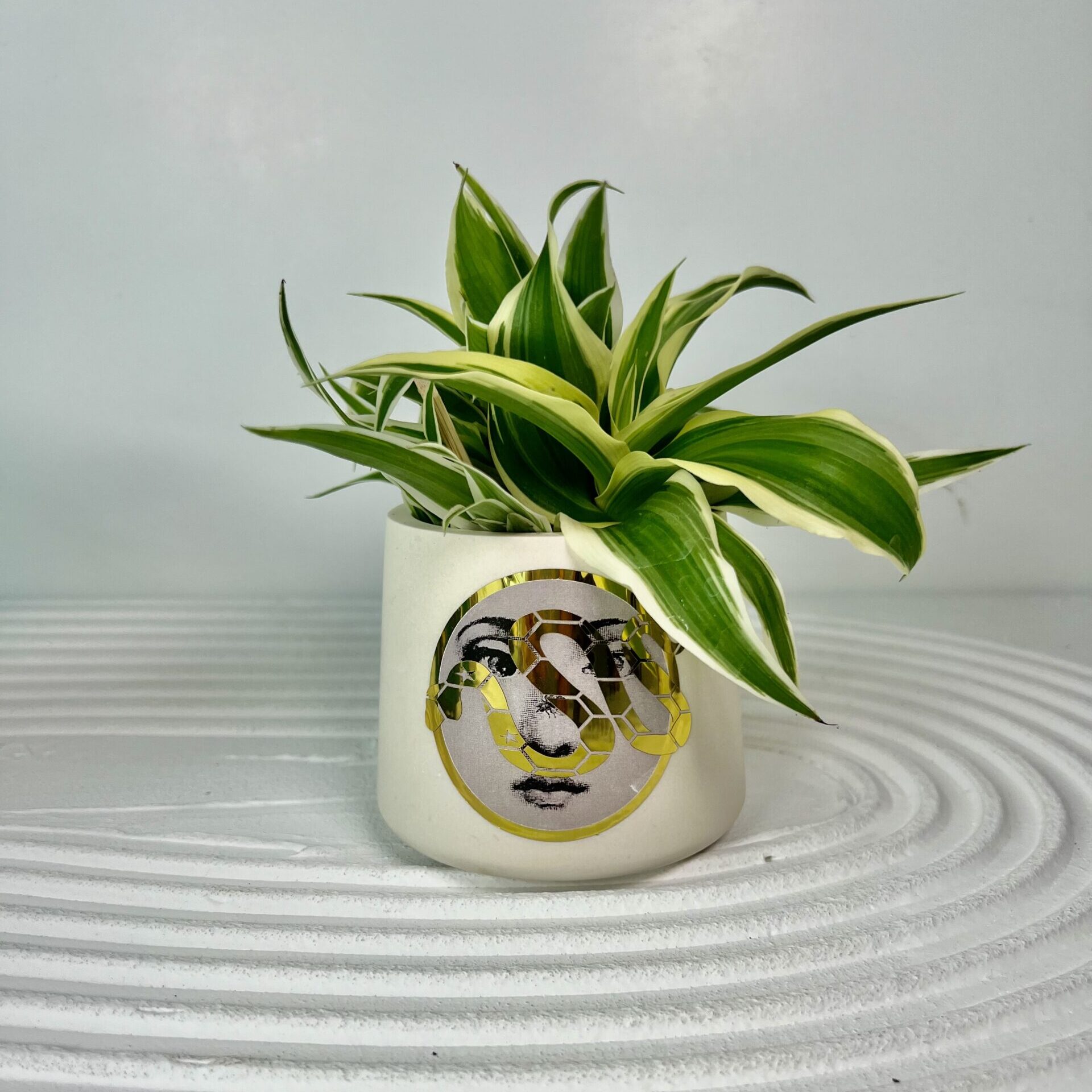 Vaso multifunzione - immagine 5