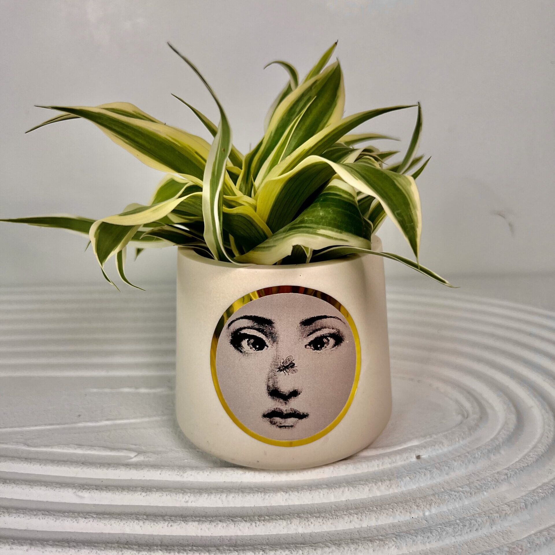 Vaso multifunzione - immagine 4