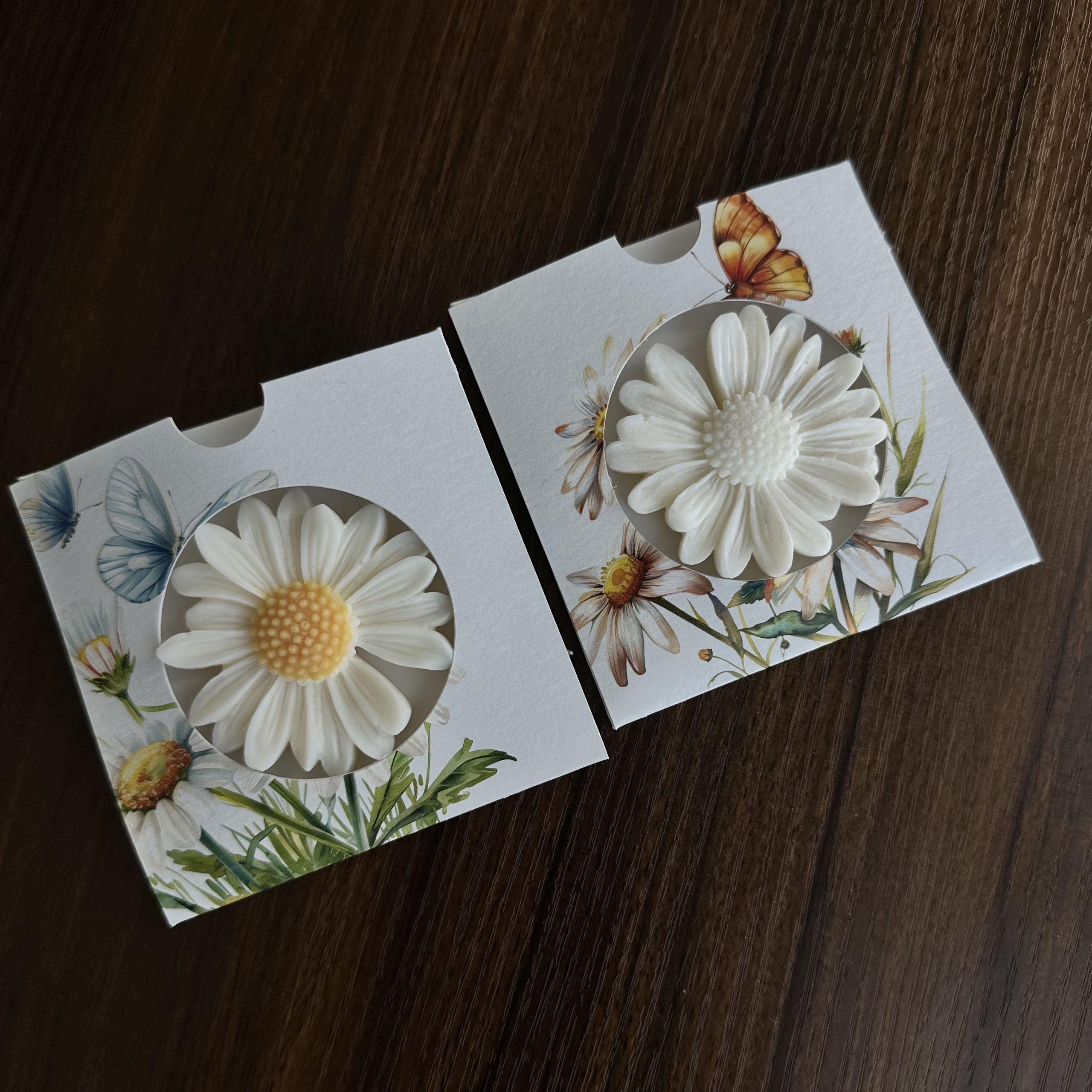 Confezione in cartoncino per margherita - immagine 2