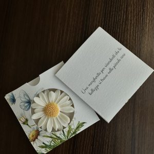 Confezione in cartoncino per margherita